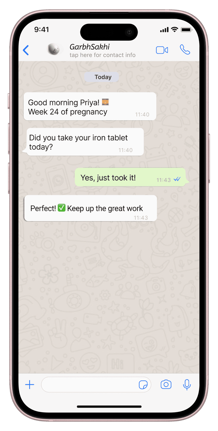 GarbhSakhi App Interface